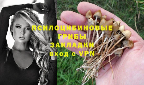 соль ск Абдулино