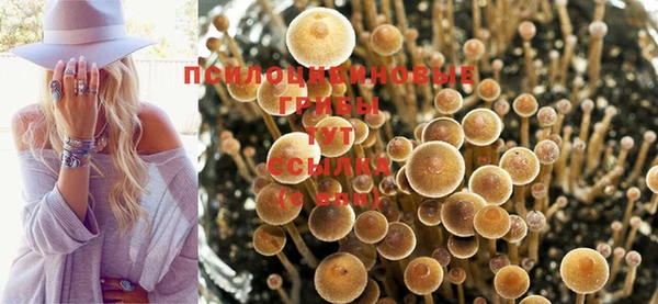 соль ск Абдулино
