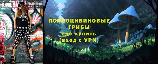 соль ск Абдулино